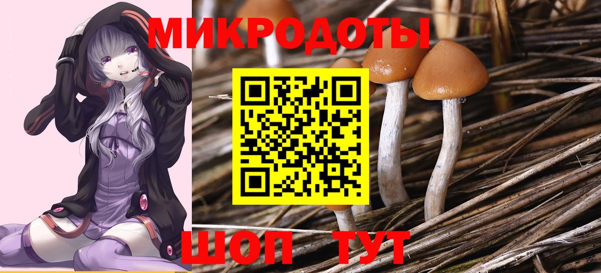 Галлюциногенные грибы мицелий Шелехов