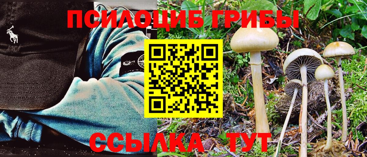 Псилоцибиновые грибы Psilocybine cubensis  Вход с VPN  Шелехов 